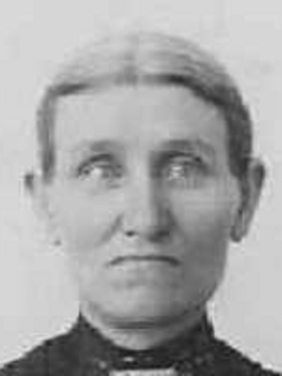 Emma Gloria Lavender (1847 - 1894) Profile